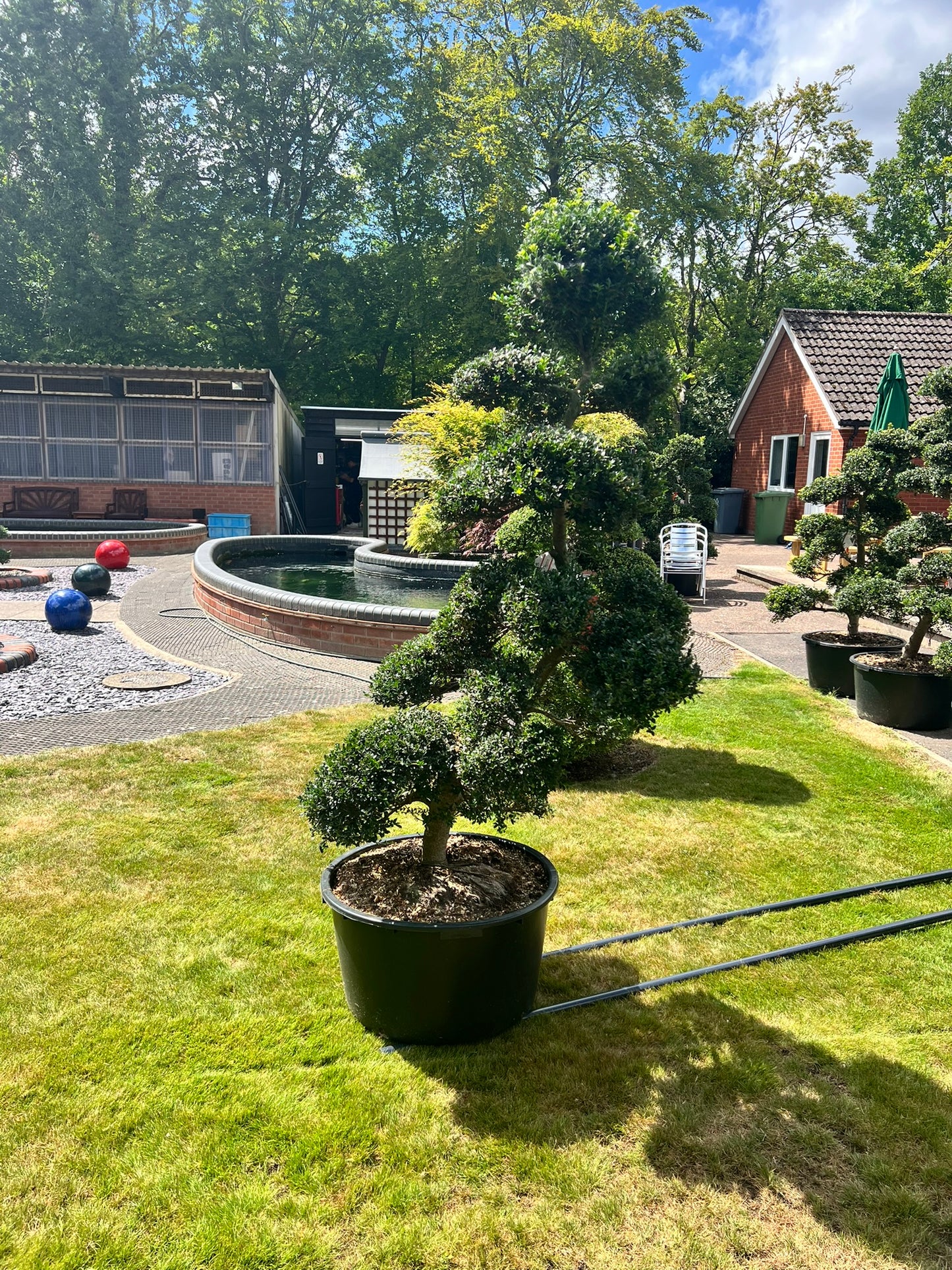 Cloud Tree 10 - 175cm