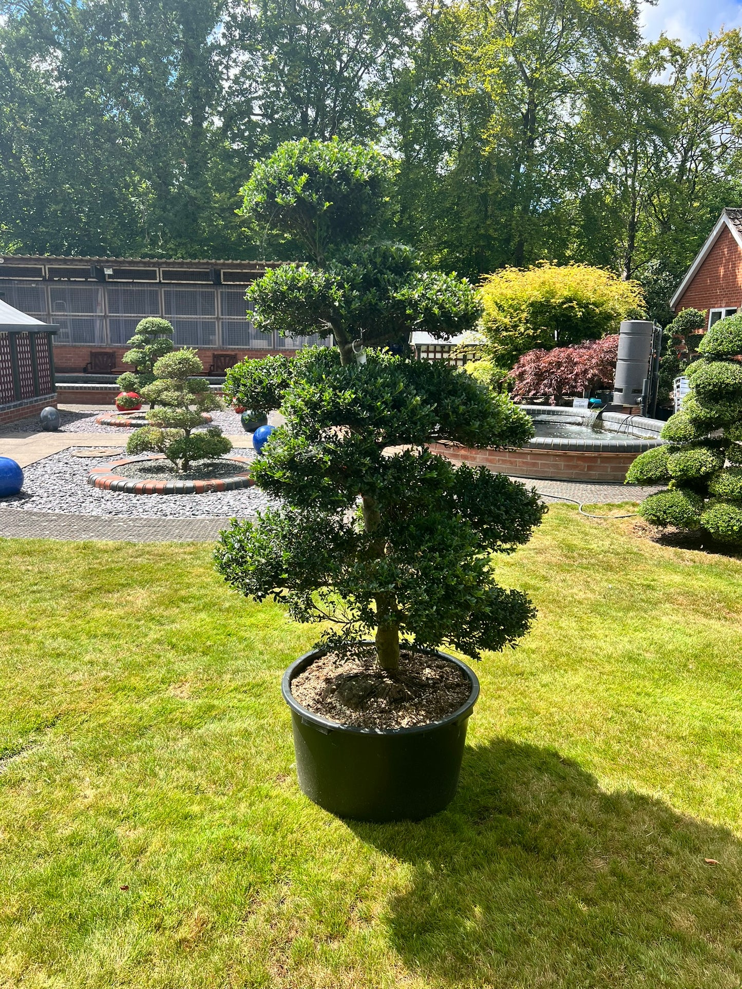 Cloud Tree 12 - 162cm