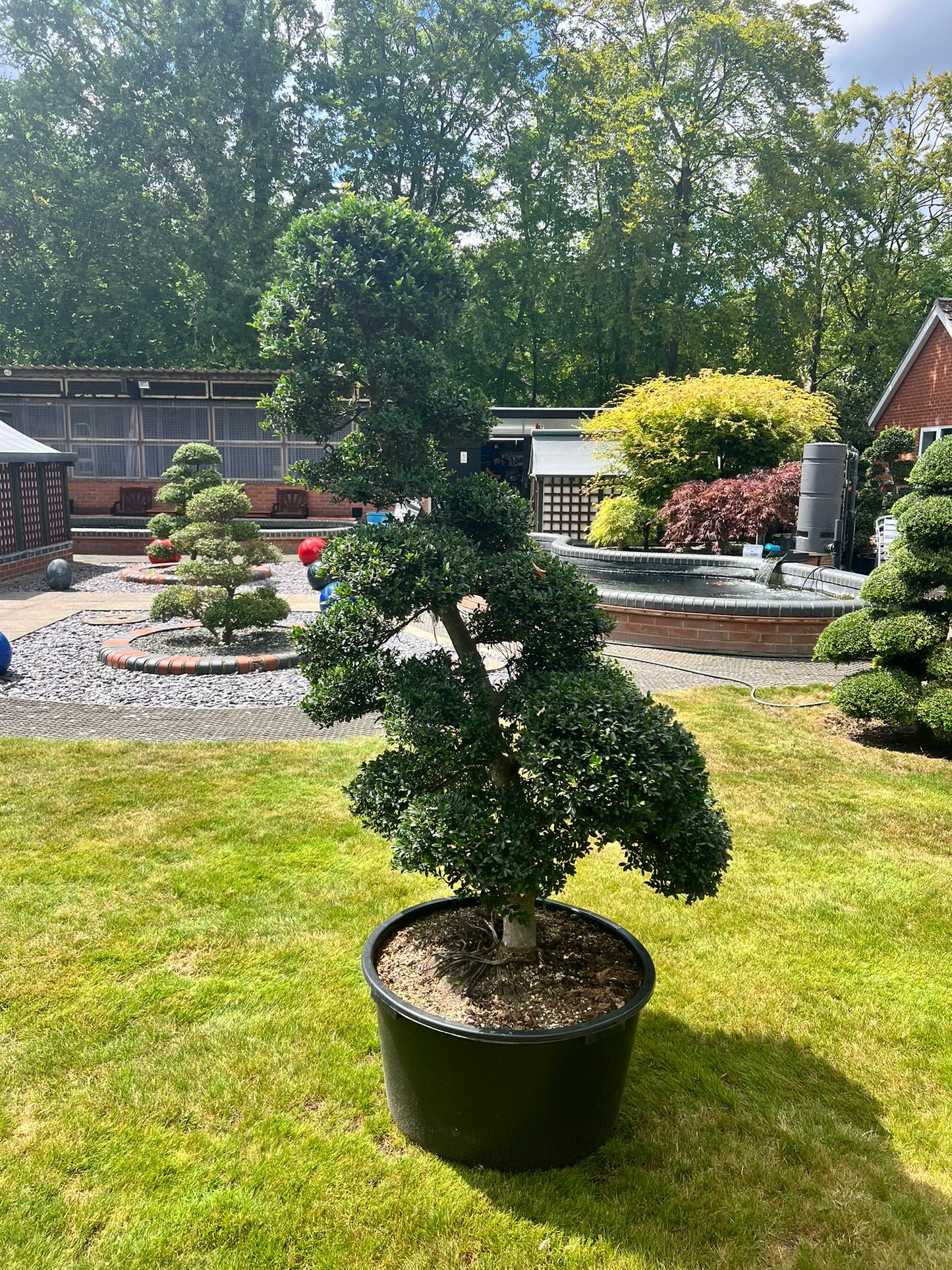 Cloud Tree 13 - 170cm