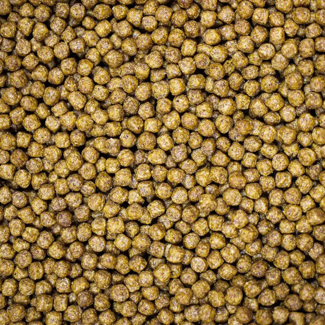 NT Labs Medikoi - Health  Junior 3mm - 10kg