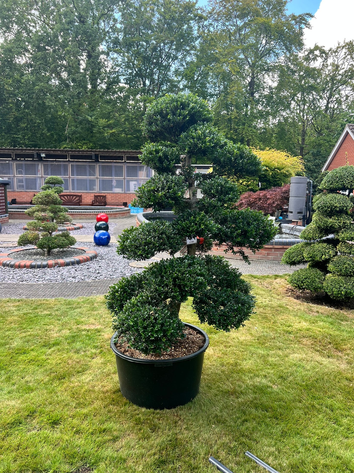 Cloud Tree 3 - 161cm