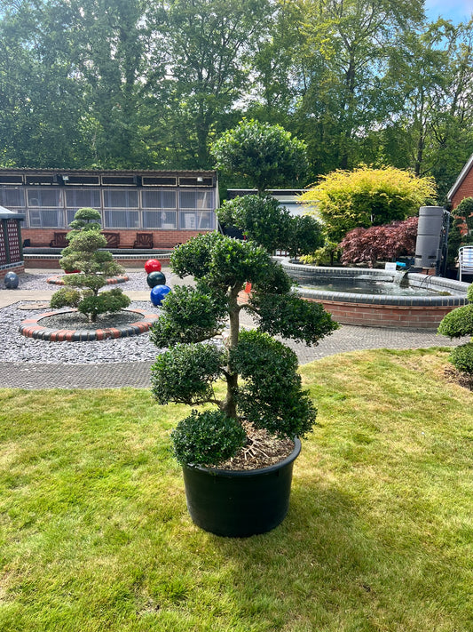 Cloud Tree 4 - 147cm