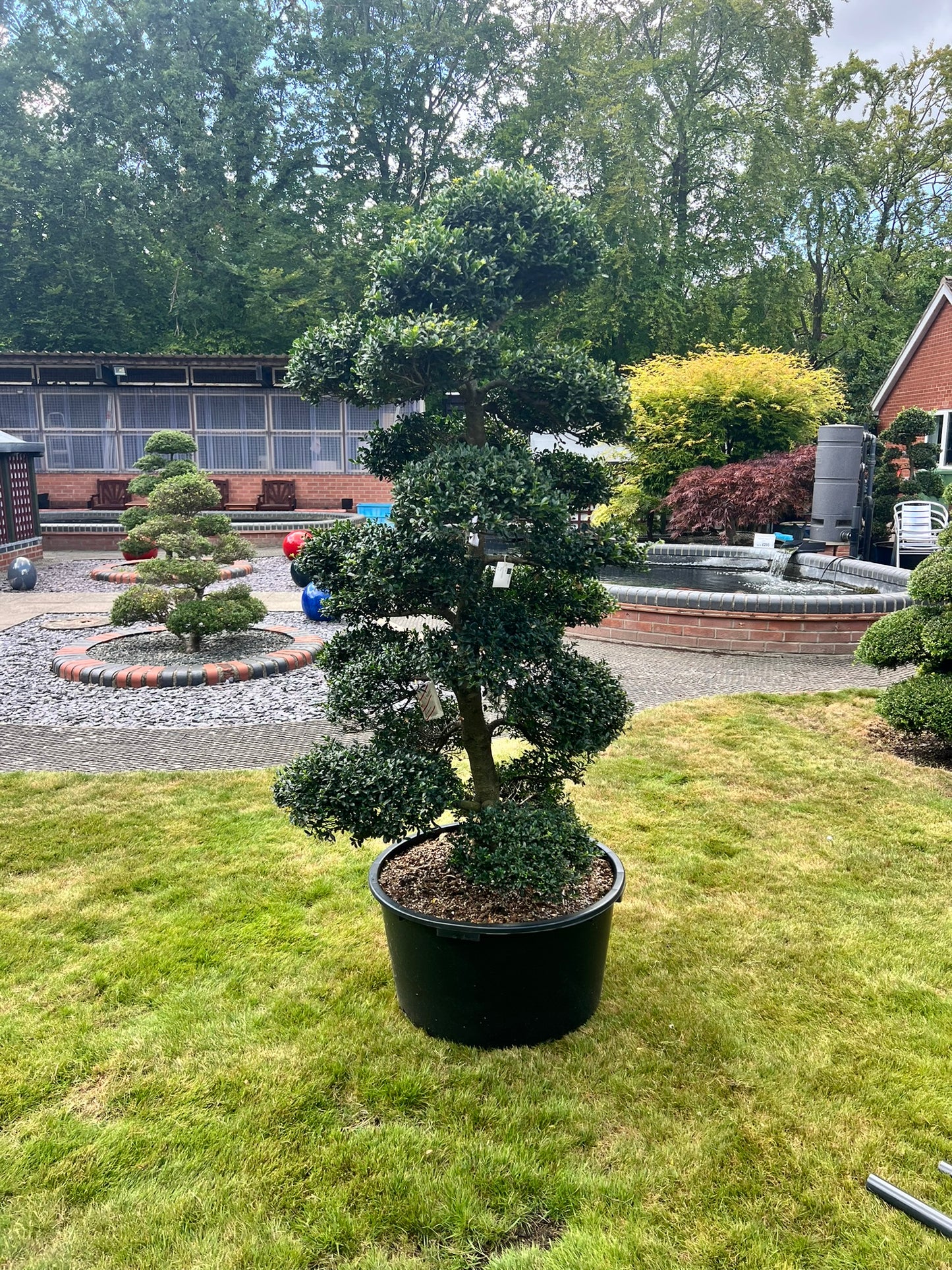 Cloud Tree 5 - 170cm