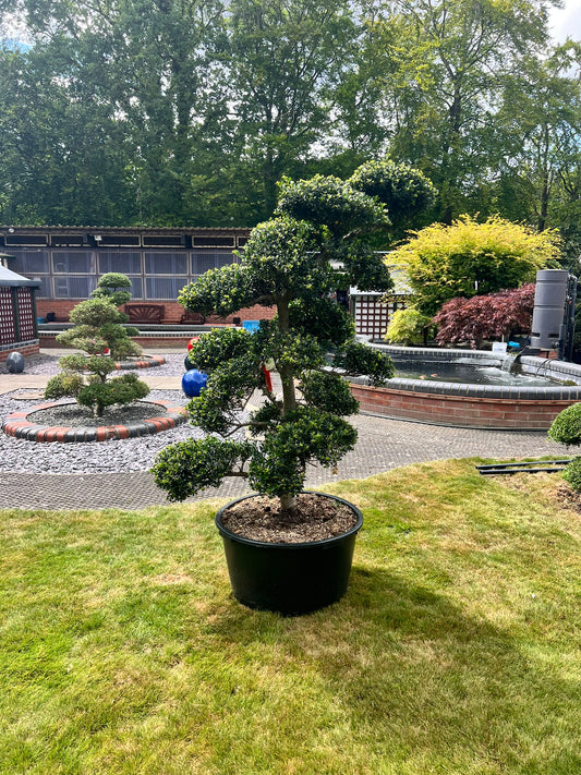 Cloud Tree 7 - 150cm