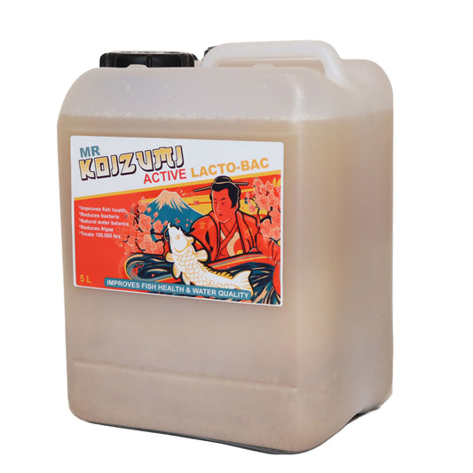 Mr Koizumi - LactoBAC 5ltr