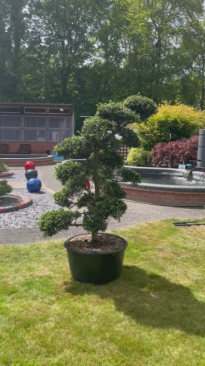 Cloud Tree 7 - 150cm