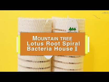 Mountain Tree Fresh Lotus Root Bacteria House Dia 8X25CM 15 pcs in 1 carton