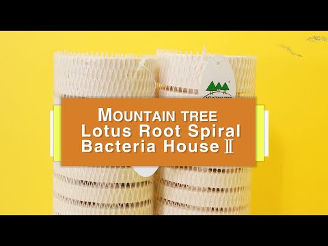 Mountain Tree Fresh Lotus Root Bacteria House