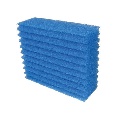 Replacement foam for Biotec 5.1/10.1 Blue