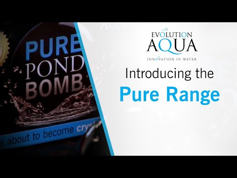Evolution Aqua Pure Pond Bomb (single) - SKS Wholesale
